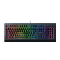 Razer Cynosa V2